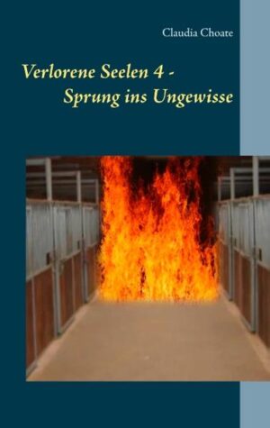 Die junge Robin-Marie Keller hat mit ihrem Pferd Jumping Jack, genau wie ihr Vater einige Jahre zuvor, gute Chancen, eine bekannte Springreiterin zu werden. Bis die Ignoranz und Unachtsamkeit ihres Ex-Freundes nicht nur ihren Traum, sondern beinahe ihr ganzes Leben zerstört. Doch der seit Jahren an Leukämie erkrankte und von diesem Kampf gezeichnete Deutsch-Franzose Pierre Chevalier, der seit kurzem von Robins Vater im Anfängerkurs unterrichtet wird, gibt das Mädchen nicht auf. Verbissen kämpft er gegen Koma, Verzweiflung und Angst, um ihr zurück ins Leben zu helfen.