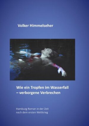Wie ein Tropfen im Wasserfall - verborgene Verbrechen Hamburg Roman in der Zeit nach dem Ersten Weltkrieg | Volker Himmelseher