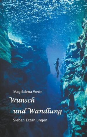 Verträumte alte Jungfern, einsame Lagerarbeiter, Teufelsgeiger und Kinder, die dem geliebten Teddy hinterhertrauern - das vorliegende Buch versammelt sieben teils realistische, teils fantastische Erzählungen über Menschen in Not, die sich in eine bessere Welt hineinwünschen, ja, hineinleben, sogar um den Preis der Aufgabe der Wirklichkeit. Am Ende aber kommt es immer anders als erwartet und ihre Absichten und Sehnsüchte verändern sich. Eine Verwandlung, die mal zum Guten, mal zum noch Schlimmeren ausfällt, aber in jedem Falle eine, die den Menschen verändert, ganz im Sinne der Erkenntnis, dass Wandlung der einzige Beweis für Leben ist.