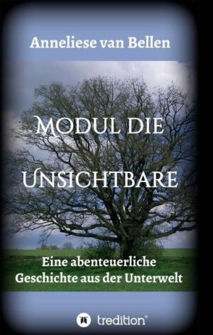 Albert und Oskar, zwei dicke Freunde auf der Insel Darwin, langweilten sich stetig. So suchten sie ununterbrochen nach Abenteuern und neuen Herausforderungen, um dieser Eintönigkeit zu entfliehen. Kein Berg war ihnen zu hoch und keine Klippe zu steil. Jedes Risiko, jede Tollheit war ihnen willkommen. Bis Albert eines Tages im Wald einem Schimmel begegnete, einem wunderschönen, schneeweißen Schimmel und ihn in eine Welt entführte, die nicht mehr die seine war. Eine Unzahl von gefährlichen Abenteuern waren zu überstehen und Rätsel zu lösen, bis er endlich wieder, zusammen mit seinem Freund Oskar, zurück auf seine Insel Darwin gelangen konnte.