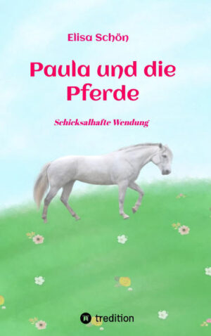 Paula ist ein sehr glückliches Mädchen und wohnt in der Nähe ihrer besten Freundin Lena in einer Großstadt. Doch eines Tages zieht Paulas Familie auf´s Land, weit weg von Lena, und plötzlich ist Paula in einige ungewöhnliche Ereignisse verstrickt: Lena verhält sich am Telefon seltsam, Paula ist plötzlich zu etwas auserwählt, was sie sich nie hätte träumen lassen und sie findet ihr Traumpferd. Schon wird aus ihrem normalen Großstadtleben ein echtes Abenteuer, in dem es von alten Legenden, Pferden und Magie nur so wimmelt...