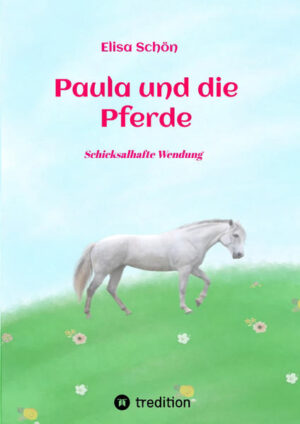 Paula ist ein sehr glückliches Mädchen und wohnt in der Nähe ihrer besten Freundin Lena in einer Großstadt. Doch eines Tages zieht Paulas Familie auf´s Land, weit weg von Lena, und plötzlich ist Paula in einige ungewöhnliche Ereignisse verstrickt: Lena verhält sich am Telefon seltsam, Paula ist plötzlich zu etwas auserwählt, was sie sich nie hätte träumen lassen und sie findet ihr Traumpferd. Schon wird aus ihrem normalen Großstadtleben ein echtes Abenteuer, in dem es von alten Legenden, Pferden und Magie nur so wimmelt...