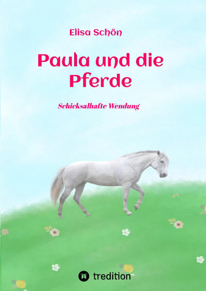 Paula ist ein sehr glückliches Mädchen und wohnt in der Nähe ihrer besten Freundin Lena in einer Großstadt. Doch eines Tages zieht Paulas Familie auf´s Land, weit weg von Lena, und plötzlich ist Paula in einige ungewöhnliche Ereignisse verstrickt: Lena verhält sich am Telefon seltsam, Paula ist plötzlich zu etwas auserwählt, was sie sich nie hätte träumen lassen und sie findet ihr Traumpferd. Schon wird aus ihrem normalen Großstadtleben ein echtes Abenteuer, in dem es von alten Legenden, Pferden und Magie nur so wimmelt...