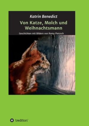 Was macht das Wesen einer Katze aus? Was ist der Sinn einer Molchjagd? Welcher Berg ist der höchste? Kann ein Beweisstück noch Geheimnisse bergen? Kann man in die Zukunft sehen? Werden alle Wünsche erfüllt? Sieben Geschichten über die Tücken und die Komik des Alltags, große und kleine Erkenntnisse und Wunder, von denen die Liebe das Größte ist.