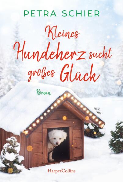 Werden Weihnachtswünsche wahr? Eine warme Küche und zwei Menschen, die ihn umsorgen - so stellt sich der kleine zerzauste Mischlingshund Amor das Glück vor! Als er eines kalten Winterabends in der städtischen Sozialstation auftaucht, lässt er sich von der schüchternen Lidia und dem Sozialarbeiter Noah das Ohr kraulen. Glücklich erkundet Amor darauf die Küche, schnüffelt an köstlichem Schokokuchen - und stibitzt Lidias Geldbeutel. Noah und Lidia versuchen ihn einzufangen und scheinen sich dabei sogar näherzukommen … Amor sieht seine Chance, die Liebe in ihr Leben zu bringen und ein echtes Zuhause zu finden.