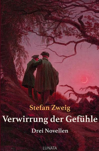 Der Band enthält die drei Novellen Stefan Zweigs „Vierundzwanzig Stunden aus dem Leben einer Frau“, „Untergang eines Herzens“ und „Verwirrung der Gefühle“. Die Novelle „Verwirrung der Gefühle“ erzählt die Geschichte des Geheimrates R.v.D. zum Anlass seines sechzigsten Geburtstages. Er blickt dabei zurück auf einen Professor, der ihm in seiner Jugendzeit half, Zugang zu seiner geistigen Schaffenskraft und seinem Gefühlsleben zu entwickeln und die Leidenschaft für die Akademie in ihm weckte, aber auch auf die Verwirrungen, die eine Liebe zwischen zwei Männern mit sich brachte, die Qual, die es ihm bereitete, sich diese selbst und dem anderen gegenüber einzugestehen.