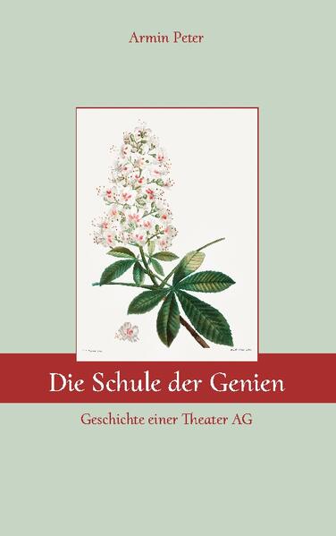 In den frühen 1950er Jahren führen die 8. Klassen einer Volksschule - einer mittlerweile ausgestorbenen Schulform - ein Theaterstück auf. Es folgt im Geist der Zeit einer simplen pädagogischen Idee: Ordnung und Sauberkeit sollen in einem "Gläsernen Haus" gelernt werden. Der Autor beschreibt die Aktiven des Spiels in Darstellung und Technik. Er skizziert in lebhaften Farben ihre Persönlichkeit und ihr Talent und befragt ihren "Genius", ob er ihnen ein Wegweiser in die Zukunft sein konnte. Porträts von Lehrerinnen und Lehrern fehlen nicht. Die Erinnerungen an die Theater AG werden geweckt durch die Freiluft-Aufführung einer heiteren Haydn-Oper vor einem Wasserschloss, in dem der kreative Erzieher Friedrich Fröbel Hauslehrer gewesen ist. Da auch Goethe im Schlösschen gegenwärtig war, kommt er mit den Erfahrungen seiner "theatralischen Sendung" zu Wort. Die Geschichte ist ein Patchwork, bunt und abwechslungsreich wie der Vorhang, den die Kinder für ihre Schulbühne schaffen.