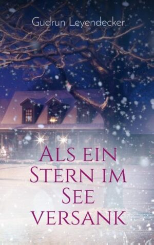 In diesem Jahr wird die vorweihnachtliche Stimmung der kleinen Stadt Sankt Augustine von einem Mordfall überschattet. Die Journalistin Abigail Mühlberg wird in die Aufklärung des Verbrechens hineingezogen, das in einer hellen Mondnacht am See des Märchenparks geschah. Fast gleichzeitig verschwinden zwei zehnjährige Kinder, die ganze Stadt wird in Aufregung versetzt, viele Bürger beteiligen sich an der Suche. Die Journalistin entdeckt, dass sich in den beiden Elternhäusern der Kinder hinter heilen Fassaden erschreckende Wahrheiten verstecken. Daneben gibt es Irrwege in der Partnerschaft, Liebesgeschichten enden und beginnen neu. Konnten Abigail und ihr Verlobter Rolf ihre Liebe durch alle Höhen und Tiefen ihrer gemeinsamen Erlebnisse retten?