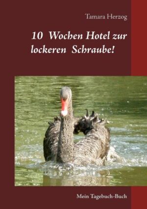 Dieses Tagebuch-Buch handelt von einer Frau, die sich mit Mitte 40 und der vermeintlichen Diagnose Burnout für zehn Wochen in eine psychosomatische Klinik begeben hat. Ihre Psychotherapeutin riet ihr damals zur Unterstützung der Therapie ein Tagebuch zu führen. Dieses Tagebuch wurde elf Jahre später nach dem Umzug in ihr jetziges Domizil zufällig wiederentdeckt und mit Witz, schrägen Humor aber auch einer Portion Nachdenklichkeit ergänzt. Das Ergebnis ist dieses Tagebuch-Buch in euren Händen.