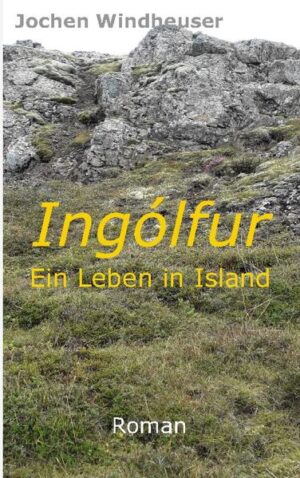 Island im 13. Jahrhundert. Im Schwanenfjord wächst Ingólfur auf, der anders ist als seine Altersgenossen. Er ist sensibel, leidet unter Gewalt und schwankt in seiner Identität. Sprachlich begabt, öffnet er sich träumerisch der Welt der Elfen. Auf seiner Reise zu Snorri Sturluson, dem bedeutendsten Dichter Islands, erlebt er das Hochland, bizarre Isländer und brutale Kriege, die das Land zerstören. Fasziniert von Snorri bildet er sich literarisch, durchlebt Krisen geschlechtlicher Entwicklung und nimmt teil am Scheitern seines Lehrmeisters. Die Flucht an die Pforte zur heimatlichen Elfenwelt führt ihn in den inneren Frieden und an seinen Ort des Glücks.