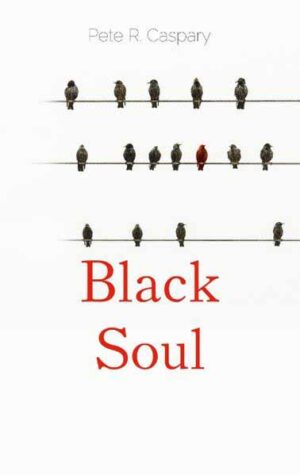Black Soul Ein Jahr im Leben von Popp | Pete R. Caspary