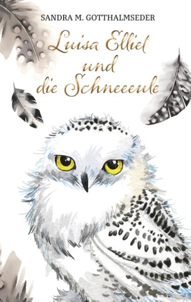 Dass ein Wesen mit dieser Erscheinung menschlich sein konnte, war so absurd, dass es Luisa und ihre Freunde in einen Zustand der unglaubwürdigen Wahrnehmung versetzte. Luisa konnte die Nähe der magischen Wesen eindeutig in ihrem Rücken spüren, als sie mit großen Augen die Verbrecher erwartete. Luisa stockte der Atem. Gerade noch hatte sie mit ihren drei Freunden am Schulhof gestanden, und nun saß sie in einem Kleinbus hinten auf der Ladefläche ... Tage des Schreckens folgten. Währenddessen machten sich Luisas Freunde auf die Suche nach ihr und schlenderten dabei in ein gefährliches Abenteuer. Nur die Schneeeule Orell konnte ihnen helfen, das Mädchen zu finden. Doch dann verschwand auch sie und die Karten mischten sich von Neuem ... Luisa war gezwungen, das erste Mal von ihren Zauberkräften Gebrauch zu nehmen. Wird sie sich zu guter Letzt doch noch aus den Fesseln der Verbrecher befreien können?