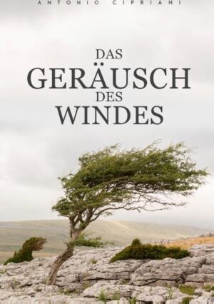 In dem Roman Das Geräusch des Windes geht es um das Schicksal der jüdischen Geschwister, die von der eigenen Mutter, im Stich gelassen wurden. Diese wahre Begebenheit ereignete sich 1940 in einem kleinen Dorf in der Provinz von Palermo/Sizilien. Es handelt sich um die Geschichte einer einfachen Mutter, die für ihren Lebenstraum von einem besseren Leben ihre eigenen Kinder im Stich lässt. Sie entschied sich zu dieser grausamen Tat in einer Zeit, die unglaublich schrecklich und grausam war. Der zweite Weltkrieg war bereits in vollem Gange und Bombardements, Angst und Gewalt waren an der Tagesordnung. Beide Kinder erlebten ein Martyrium nach dem anderen. Sie waren gezwungen in einer Höhle im Wald zu leben und auf den Dorfstraßen zu betteln. Es ist eine Geschichte, aus dem wahren Leben, mit Intrigen, Morde und unglaubliche Schicksalsschläge. Diese wahre Begebenheit fesselt den Leser von der ersten bis zur letzten Seite. Als Bonus hat der Autor auch 6 wundervolle Gedichte mit eingebracht, die tief unter die Haut gehen.