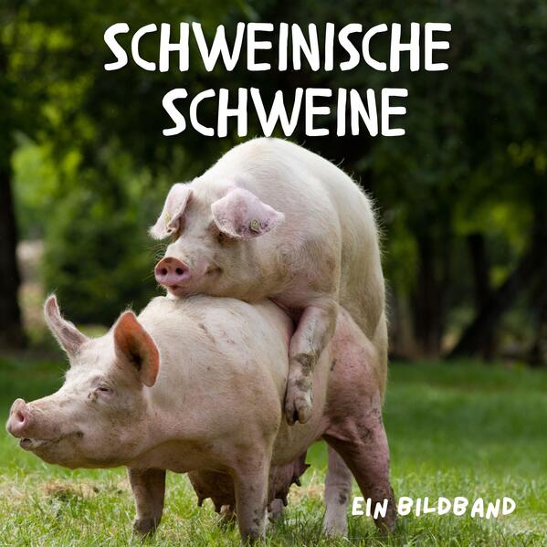 Du bist ein Schwein. Ich bin ein Schwein. Deine Eltern sind Schweine. Deine Großeltern auch und die Urgroßeltern gehören auf jeden Fall auch dazu. Und Schweine sind auch Schweine. Zumindest wenn sie Schweinereien im Schilde führen. Oder bei ihren Schweinerein in flagranti erwischt wurden. Von unseren Schweine- Poporazzis (insofern diese Schwein haben bei ihrem Job). Sei also kein Schwein und mach Deinem besten Kumpel (dem alten Ferkel) mal ein saukomisches Geschenk. Dieser wunderbare Bildband zeigt 40 sorgsam ausgewählte, farbige Motive im großen, quadratischen Format. Das Booklet ist über zwanzig Zentimeter hoch und genauso breit und besitzt einen flexiblen Umschlag. Es ist ein perfektes Geschenk, man kann aber auch wunderbar selbst in die Welt dieser tollen Fotografien eintauchen. Quadratischer Bildband mit 40 Motiven Außergewöhnliche, akribisch ausgewählte Bilder von professionellen Fotografen Dieses preiswerte Buch wird dennoch umweltschonend in Europa gedruckt Die gesamte Fläche wird für die Bilder genutzt Lichtbeständiger Druck auf mattem Papier Man kann die Lieblingsmotive ausschneiden, einrahmen und an die Wand hängen. So macht Nachhaltigkeit Spaß! Die perfekte Geschenkidee: ob zum Geburtstag, zu Weihnachten oder als kleine Geste zwischendurch