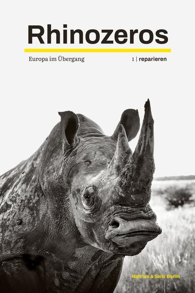 Rhinozeros I | Bundesamt für magische Wesen