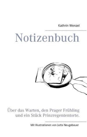 Ein Mann an einer Bushaltestelle, eine Fliege auf einem Stück Käse, Naturbeobachtungen. Alltägliche und banal erscheinende Situationen, die die Autorin pointiert mit der Lupe betrachtet und dabei die Zeit anhält. Liebevoll, aber auch ernst besehen, zeigt sie oft unbeachtet bleibende Details auf. Mitten in die Geschichte hineinspringend, bringen unerwartete Wendungen der Geschichten zum Schmunzeln, aber auch zum Nachdenken. Die Beobachtungen und Interpretationen in den Kürzestgeschichten von Kathrin Wenzel führen zu Gedanken und Erinnerungen, die den Leser in die eigene Biografie zurückführen können und ihn mit selbst Erlebtem vergleichen lassen.