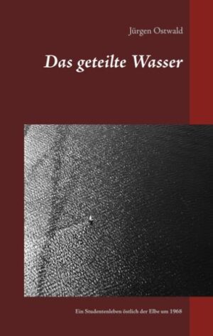 Hannes König will 'vergehen', am Meer und in der Stadt am Meer. Ist zerrissen im Studium der Naturwissenschaft zwischen Molekülen, Freunden, Frauen und Kneipen. Ist zerrissen in der fortschrittlichen Gesellschaftsordnung, die 1968 auch Panzer rollen lässt. Ist zerrissen zwischen Belesenen und scheinbar Schlichten. Versinkt fast mitten in diesem wundervollen prallen Leben. Erlebt Höhen, Abstürze und Stürme, Begeisterung und Zweifel, erlebt die Faszination der Musik des Klassenfeindes. Erlebt auch Glück.