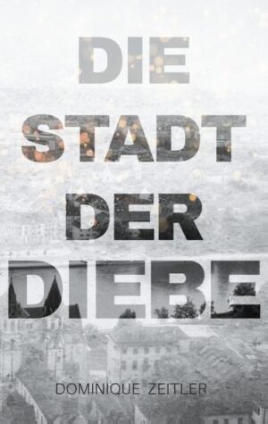 In einer Stadt, die nicht gefunden werden kann, findet die Diebin Kei ein neues Zuhause. Dort angekommen stellt sie fest, dass der geheimnisvolle Ort viele Überraschungen bereithält. Eine aggressive, neue Bande hat sich dort angesiedelt und erlangt schnell Einfluss. Auch Kei und ihre neuen Freunde werden in die gefährlichen Machenschaften der Bande involviert und bald steht die Verborgenheit des Tuelmer Viertels auf dem Spiel. Gemeinsam fassen sie den Entschluss, das empfindliche Gleichgewicht der Stadt zu retten und müssen den wichtigsten und gefährlichsten Coup ihrer Karriere planen: Eine gesamte Stadt zurück zu stehlen.