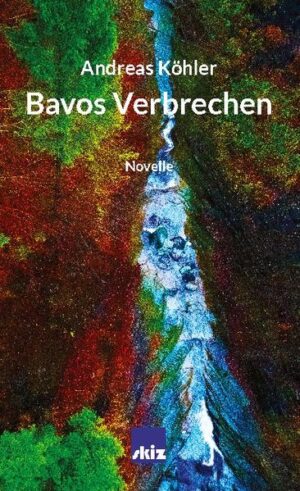 Der international berühmte Künstler Bavo reist zum Treffen mit den ehemaligen Kunststudenten in seine Heimatstadt zurück. Auf dem Flug werden ihm schon lange in der Tiefe mottende Zweifel am Wert seiner Kunst bewusst. Noch kann er sich beschwichtigen. Er ist überall anerkannt und gefeiert. Doch im Paradiesgarten des wortkargen Lehrers und Malers Ernest und dessen Gefährtin Sabina überfällt ihn der Neid, und Bavo wird zum Zerstörer - seiner selbst.