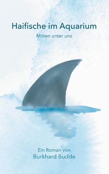 Andreas Klein, die Hauptfigur des Romans, der die Herausforderungen eines kirchlichen Unternehmens im Spannungsfeld von Ethik und Monetik schildert, gerät in eine Schlangenngrube: Macht- und Intrigenspiele, aber auch Eitelkeiten und Eifersüchteleien, Inkompetenz und Größenwahn verhindert immer mehr ein ganzheitliches Management, das Wirtschaftlichkeit, Soziales und Christliches als Einheit versteht. Der Protagonist ganzheitlichen Denkens scheitert, aber im Scheitern leuchtet eine Hoffnung auf umfassende, auch spirituelle Erneuerung auf. Der Wechsel von fiktiven Anekdoten und ethischen Reflexionen, die Mischung von Ironie und Satire, die Prophezeiungen in den Parabeln, Fabeln und Träumen, machen die fiktionale und literarische Komposition des Romans zu einem spannenden Erlebnis, das die Seele des Lesers bewegen möge.