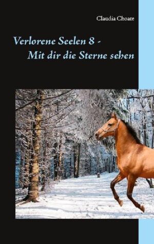 Fünfzehn Jahre wurde Viktor von seiner Mutter belogen, bis er die schreckliche Wahrheit über das erfährt, was seine Mutter Nacht für Nacht treibt. In Armut und Einsamkeit aufgewachsen, gerät der Junge in die Fänge einer Jugendgang, die seine Unschuld ausnutzen und ihn für ihre eigenen Straftaten büßen lassen. Als Viktor Gefahr läuft, für einen Mord verdächtigt zu werden, den er nicht begangen hat, gerät der Junge in Panik und verunglückt mit einem zuvor entwendeten Fahrzeug. Schwer verletzt, verängstigt und gebrochen erfährt er vom plötzlichen Tod seiner Mutter und von der Existenz seines Vaters, der ihn nach jahrelanger Suche einfach nur in die Arme schließen möchte. Doch auch in seinem neuen Leben auf dem Sternenhof bestimmen Intrigen und Lügen anfangs sein Dasein, bis er die Hilfe eines jungen Mädchens bekommt, die ebenfalls unter den Folgen einer Tat skrupelloser Jugendlicher zu leiden hat.