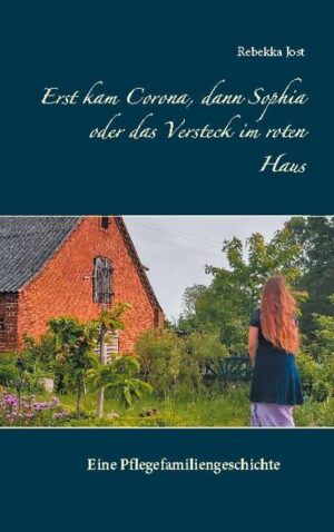 Im Jahre 1886 nimmt sich in einem kleinen Dorf in Mecklenburg Marie Ebert auf dem Hof, den ihre Familie seit Generationen bewirtschaftet, in dem roten Häuschen, indem die Schweine gehalten werden, das Leben. Zuvor hat sie dort ihr Tagebuch versteckt. Über hundert Jahre später leben Amelie Kästner und ihre Familie auf dem ehemaligen Hof. Im Januar 2020 entschließt sich die Familie, die fünfzehnjährige Sophia in Pflege zu nehmen. Doch nicht nur dadurch, sondern auch durch die Ausbreitung des Coronavirus und die daraufhin beschlossenen Maßnahmen verändert sich das Leben der Familie innerhalb kürzester Zeit und von Grund auf. Doch während aufgrund der weltweiten Ereignisse die Familie ausgerechnet in dieser Zeit völlig auf sich gestellt ist, entpuppt sich der Ausnahmezustand auch als eine Chance, das nahezu Unmögliche zu schaffen, nämlich einem Kind, dass durch alle Raster der Gesellschaft gefallen ist, ein Zuhause zu geben. Doch wird der Lauf gegen die Geister der Vergangenheit in dieser auf den Kopf gestellten Zeit gelingen und welchen Einfluss haben die über hundert Jahre alten Aufzeichnungen der Marie Ebert auf die Ereignisse in der Familie im Jahr 2020?