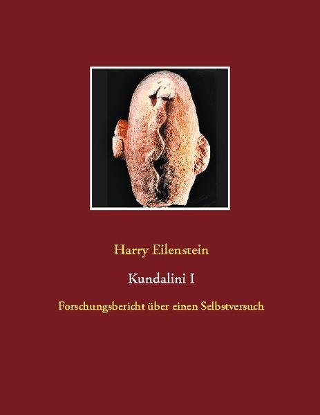 Dieses Buch enthält nicht die grundlegenden Wahrheiten und die effektivsten Methoden zur Erweckung der Kundalini. Es enthält auch keine uralten Weisheiten und keine Einweihungen. Es ist lediglich der Forschungsbericht über einen engagierten Selbstversuch. Ich habe dieses Buch eigentlich gar nicht schreiben wollen das hat sich von selber ergeben, weil ich alle Kundalini- Methoden, die ich ausprobiert habe, und alle Phänomene, die dabei aufgetreten sind, für mich selber aufgeschrieben habe, um den Überblick zu behalten, um Muster erkennen zu können und um die Effektivität und die spezielle Wirkung der einzelnen Ansätze überprüfen zu können. Daher ist dies das persönlichste Buch geworden, das ich jemals geschrieben habe das Tagebuch meiner Meditationen, Experimente und Erlebnisse. Das hat dazu geführt, daß ich mir letztlich auch die dunkelsten Ecken meiner Psyche angesehen habe. Doch diese Versuche und Betrachtungen haben auch dazu geführt, daß ich ganz neue Methoden der Erweckung der Kundalini entdeckt habe wie die Imagination der platonischen Körper in den Chakren. Durch meine vielen Traumreisen zu meiner Kundalini ist sie geradezu mein Freund geworden. Meine Motivation für die Kundalini- Meditationen und die vielen Experimente ist es, endlich wirklich vollkommen heil zu werden innen und außen. Mein Ziel war es, eine effektive, aber sanfte und integrierende Methode der Kundalini- Erweckung zu finden was mir auch gelungen ist. Die Erlebnisse dabei habe ich in zwei Bänden aufgeschrieben - der erste erscheint Anfang 2021, der andere voraussichtlich später in demselben Jahr. Die wichtigsten Erlebnisse und Erkenntnisse werde ich in "Kundalini für Anfänger" zusammenfassen.