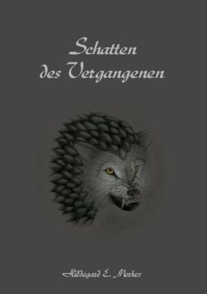 Finstere Gestalten streifen durch die südlichen Lande und versetzen deren Bewohner in Angst und Schrecken. Ein unheimliches Summen dringt aus einem ausgetrockneten Brunnen am Rande des Goldenen Tals. Die gefährlichen Dunkelsteine sind plötzlich verschwunden, und niemand weiß, was mit ihnen geschehen ist. Ein weiteres Mal ist es an Dheyrion, Fheondri und ihren Freunden, sich den ?nsteren Mächten entgegenzustellen, die die Bewohner ihrer Welt erneut bedrohen.