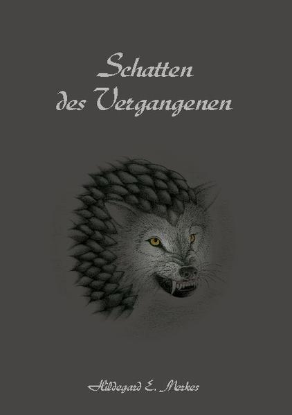 Finstere Gestalten streifen durch die südlichen Lande und versetzen deren Bewohner in Angst und Schrecken. Ein unheimliches Summen dringt aus einem ausgetrockneten Brunnen am Rande des Goldenen Tals. Die gefährlichen Dunkelsteine sind plötzlich verschwunden, und niemand weiß, was mit ihnen geschehen ist. Ein weiteres Mal ist es an Dheyrion, Fheondri und ihren Freunden, sich den ?nsteren Mächten entgegenzustellen, die die Bewohner ihrer Welt erneut bedrohen.