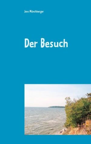 Der Maler Hans Meierhof bekommt, für ihn sehr überraschend, den Besuch einer jungen Frau und unternimmt nun eine Reise zu längst vergangenen Zeiten ... Diese Reise beginnt mit der Suche nach einem Brief und endet mit der beachteten Ausstellung seiner Bilder. Unterwegs lernt Hans Meierhof Anna kennen und lieben, wohnt auf einer Insel, erlebt einen Schneewinter und erhält den "Pinsel".