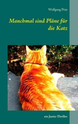 Manchmal sind Pläne für die Katz ein Justiz-Thriller | Wolfgang Pein