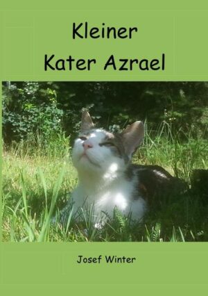 Ein kleiner Katzenkater wird im Tierheim mit seiner Mutter und den beiden Geschwistern abgegeben. Dort hat er viel Spaß. Leider wird die Katzenfamilie getrennt. Aber Azrael hat Glück und bekommt über eine Annonce in der Zeitung ein neues Zuhause. Dort erlebt das Katzenkind die tollsten Abenteuer. Schon bald entwickelt sich der kleine Kater zu einem flinken Jäger. Der kleine Rabauke bringt seine neue Menschenfamilie ständig zum lachen, auch wenn ihm mal etwas nicht gelingt.