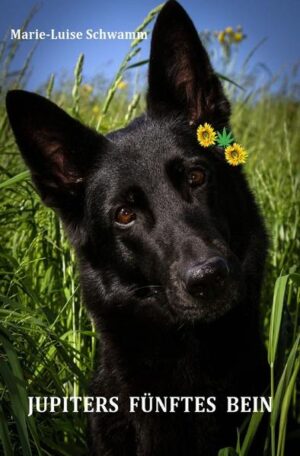 Ein Hund hat vier Beiner, an jeder Ecken einer. Fünf Beiner hätt, ausflippen tät. (Fredl Fesl) Ein Althippie aus Bayern erleidet an der Nordsee einen plötzlichen Tod - und ab diesem Augenblick sind die unvergessenen Momente seiner Zeit als Blumenkind in einem Hund abgespeichert. Den triggert nun die legendäre Musik aus jener Zeit. Und die ist bei den vielen Nordsee- Urlaubern im Corona- Sommer 2020 sehr beliebt, denn auch sie haben ihre Erinnerungen. Was erlebt der Hund damit, was erleben die Menschen mit ihm, warum starb der Althippie so plötzlich? Was wird mit Jupiter und seinen Menschen? Zum Lachen, Mitfühlen, Nachdenken und Genießen. In großer Schrift, damit auch Althippies es lesen können. Warnhinweis: Es kommen illegale Drogen und gleichgeschlechtliche Liebe vor.