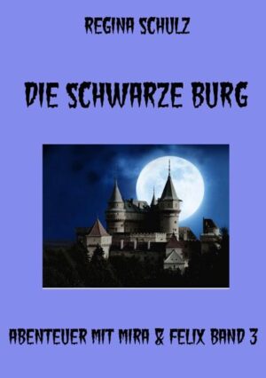 Das Buch erzählt die Abenteuer von Felix, einem kleinen Jungen der Autos, Saurier und Ritter liebt. Eines Tages hat er eine wundersame Begegnung und findet dabei neue Freunde. Mitten in der Nacht gehen sie auf eine Sternenreise und empfangen plötzlich einen Hilferuf. Sie landen auf einem fernen Planeten, dort sind alle Kinder verschwunden. Wer hat sie entführt und was steckt dahinter? Wird es gelingen, dass das Gute über das Böse siegt? "Abenteuer mit Mira & Felix" Band 1 "Satanius" Band 2 "Chaos im Märchenreich"