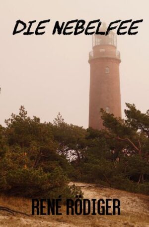 Wenn der Autor sein Alter Ego Rune auf eine fantastische Reise zur Ostsee schickt, um so eine Trennung zu verarbeiten und im heißen Sommer 2018 ein Abenteuer erlebt, welches ihn ans Meer und zu sich selbst führt. Dabei wird er von einer geheimnisvollen Möwe begleitet. Was Rune noch nicht weiß, eine weitere Möwe begleitet eine junge Frau, auch Sie führt ihr Weg zur See.