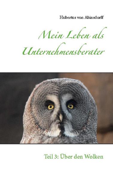 Wir alle haben Träume. Irgendwann beginnen sie, und bei denen, die ihr Leben leben, hören sie nie auf. Vielleicht verschieben sie sich. Oder sie wechseln ihre Intensität im Laufe der Zeit. Aber sie enden nicht. Mein Traumstudium zum Wirtschaftsingenieur durfte ich absolvieren. Um danach in meinen Wunschberuf als Unternehmensberater bei meinem Wunscharbeitgeber ins Berufsleben zu starten. Inzwischen arbeite ich seit nahezu dreißig Jahren in der Beratung. In der letzten Zeit mit einem stärkeren Anteil in der Informationstechnologie. Die Optimierung von Aufbau- und Ablauforganisationen ist etwas in den Hintergrund getreten. Die IT hat einen breiteren Raum eingenommen. Nicht zuletzt durch die zunehmende Digitalisierung. Wir merken das sowohl im beruflichen wie auch privaten Umfeld. Dann piepst, summt und bimmelt es alle paar Sekunden um uns herum. Das mag ich nicht. IT und Digitalisierung sollen uns unterstützen, nicht dominieren. Auch im vorliegenden dritten Band handeln die Kapitel erneut von Menschen, Situationen und Stationen, die mich auf meinem Weg in besonderer Form geprägt haben, mein Menschen-, Unternehmens- und Gesellschaftsbild beeinflussten und erweiterten. Unternehmensberater ist immer noch mein Wunschberuf. Nach wie vor glaube ich daran, die Welt Tag für Tag ein kleines bisschen besser machen zu können. Nicht mit unübersichtlichen Excel-Tabellen und langweilenden Powerpoint-Präsentationen. Sondern mit den handelnden Menschen in den Projekten und Unternehmen. Vielleicht laufen wir uns dabei irgendwann einmal über den Weg. Ich würde mich freuen!