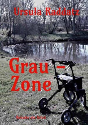 Grau-Zone beinahe ein Krimi | Ursula Raddatz