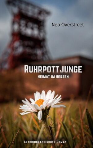 Neo wächst im Herzen des Ruhrpotts, zwischen Halden und Zechen, Schrebergärten und Industriebrachen auf. Im Rausch des Geistes der Nachwendezeit, durchlebt er seine Jugend inmitten der 90er Jahre. Er erlebt die erste große Liebe, den ersten großen Schmerz, unverhoffte Begegnungen und unerfüllte Träume. Er entdeckt seine Leidenschaft für die Kunst und versucht sich im Spagat zwischen gesellschaftlichen Konventionen und einer beginnenden Musikerkarriere. Immer wieder trifft er dabei auf sich selbst, kehrt ein und wächst an dem Erlebten. Manchmal droht er an sich selber zu zerbrechen, verliert jedoch nie den Blick nach vorne. Und immer wieder betrachtet er die wilde Schönheit des Ruhrgebiets aus dem ganz eigenen Blickwinkel seiner Generation X. Ein autobiographischer Roman, eine poetische Liebeserklärung an das Ruhrgebiet und ein liebevoller Gruß an ein Jahrzehnt des Wandels und des Aufbruchs.