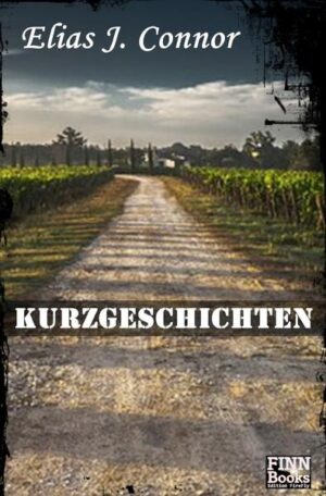 Ein Reporter besucht ein chinesisches Dorf und stößt dabei auf ein schlimmes Geheimnis. Ein Bettler verliert seinen einzigen Freund, seinen Hund, und macht sich auf eine nervenaufreibende Suche nach ihm. Ein kleines Mädchen wünscht sich von ihrem Vater nichts sehnlicher als ein Puppenhaus zu Weihnachten - aber er hat zu wenig Geld, um es sich leisten zu können. Eine junge Frau bekommt ein sonderbares Geschenk und landet in einer seltsamen Welt. Diese und andere Geschichten befinden sich in diesem Buch. Eine Sammlung von Kurzgeschichten, phantastisch, authentisch oder wahr - sie alle haben eine Botschaft: Glaubt an euch selbst. Glaubt an das Gute, dann wird es euch widerfahren.