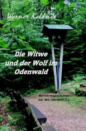 Im Oktober 2009 platzt in Frankfurt ein Drogenprozess, nachdem die Kronzeugin vor der Urteilsverkündung ermordet wird. Elf Jahre später kehren deren Ehemann und die Tochter in ihre Heimat zurück. Willy Hamplmaier, Bestatter und nebenberuflicher Privatermittler aus Michelstadt, will mit seiner Assistentin Steffi Schwaiger Raubüberfälle auf Geldautomaten aufklären. Sein Sohn Hans ermittelt für die hessische Heimaufsicht für Pflegeheime unter Corona Bedingungen die Machenschaften der Mafia im Pflegeheim 'Jungbrunnen' am idyllischen Marbach Stausee. Dabei legt er sich erneut mit der altbekannten russischen Drogenmafia an, die er des Mordes an seiner Frau verdächtigt. Völlig unerwartet entdeckt er mehrere konkrete Spuren zum Mörder seiner Frau, und auch ein Ehrenmord scheint möglich. Die Bedrohungen, denen er und seine Familie in der Folge seiner Ermittlungen ausgesetzt sind, entwickeln sich zum Alptraum…..