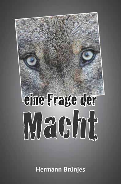 Eine Frage der Macht Ein Jens Jahnke Krimi | Hermann Brünjes