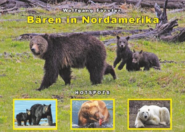 Wer erinnert sich nicht gerne an den Teddybären, der einen als Kleinkind fast überall hin begleitet hat? Wer mag keine Gummibärchen? Und wer würde sich nicht freuen, einen Bären während des Amerikaurlaubs in freier Wildbahn zu erleben? Bären sind etwas Besonderes! Dieses Buch beschäftigt sich, wie der Name schon sagt, mit den Bären Nordamerikas. Es erklärt die Eigenarten von Schwarzbären, Braunbären sowie auch von Eisbären und beschreibt die Orte, an denen man sie finden und beobachten kann. Außerdem verrät es viel über das Leben der Bären, zeigt auf, wie man sich ihnen gegenüber am Besten verhält und was man tunlichst vermeiden sollte.