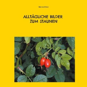 Bilder von Dingen des Alltags - Blumen, Wolken, Früchten, Tieren. Nichts besonderes, und trotzdem kleine Wunder. Die Wunder unseres Alltags wieder bewusst wahrzunehmen, dazu will dieses Buch mit seinen Bildern und kurzen erläutenden Texten verhelfen.