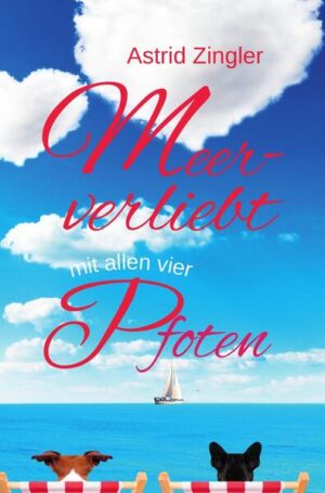 Svea liebt ihre kleine Geschenkboutique im Herzen von Sylt. Einen Mann in ihrem Leben vermisst sie nicht. Doch als sie unerwartet einen Kurztrip nach London gewinnt, ändert sich ihre Einstellung. Denn der smarte Bent, der als Lifecoach durch das Wochenende führt, ist ein alter Bekannter. Und genau wie damals berührt er mit seinem Charme ihr Herz. Zu dumm, dass er in London lebt und die Nordsee sie voneinander trennt. Doch was wäre, wenn er ihr einige Wochen später plötzlich am Strand über den Weg läuft?