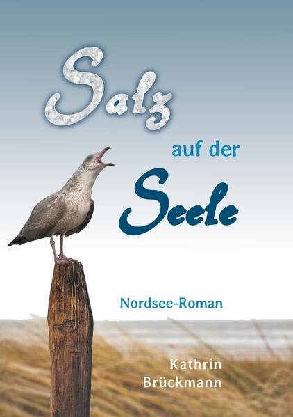 Nach dem tragischen Unfalltod ihres Verlobten fällt Erfolgsautorin Sanne in ein tiefes Loch, fühlt sich leer und ausgebrannt. Als ihre Lektorin ihr eine Reise an die winterliche Nordsee vorschlägt, sagt Sanne zögernd zu. Am Strand von Norddeich begegnet sie dem geheimnisvollen Treibgutsammler Hajo. Der schweigsame Friese fasziniert und inspiriert sie, aber kann sie auf den Trümmern ihres alten Lebens ein neues aufbauen? Da taucht plötzlich ein Fremder auf, der Sannes Verlobtem Jonas zum Verwechseln ähnlich sieht, und sie muss sich entscheiden: Vergangenheit oder Zukunft. Sie ahnt nicht, welche Gefahren auf sie lauern.