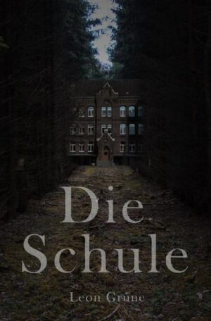 Als David trotz seiner guten Noten von seiner Mutter auf eine Sommerschule geschickt wird, ist ihm schnell klar, dass sie ihn bloß loswerden will. Zu allem Übel muss er jedoch feststellen, dass die Schule mitten im Wald, abgegrenzt von der Zivilisation steht. Doch das ist nicht das Einzige, was an der Schule seltsam erscheint. Als ein mysteriöser Zwischenfall an der Schule passiert, scheint nichts mehr so zu sein, wie es einmal gewesen ist. Mit der Zeit häufen sich die Zwischenfälle, und bald muss David selbst um sein Leben bangen.