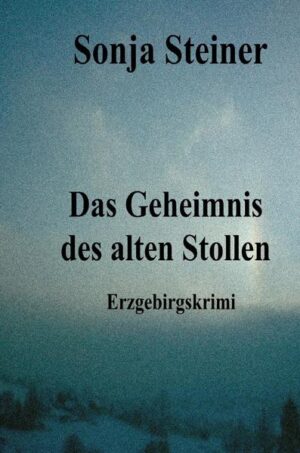 Bei Bauarbeiten im kleinen Erzgebirgsdorf wird ein Skelett entdeckt, von dem keiner weiß, wer das ist und wie es dort hin gekommen ist. Im Nachbarort verstirbt eine alte Frau. Ihr Gesichtsausdruck ist so schrecklich, als hätte sie den Leibhaftigen gesehen. Als dann auch noch zwischen Weihnachten und Neujahr ihr einsames Haus in die Luft fliegt, keimt das Gerücht um den Familienfluch wieder auf. Oberkommissar Teufel ermittelt. Gelingt es ihm, die Puzzleteile zusammenzusetzen?