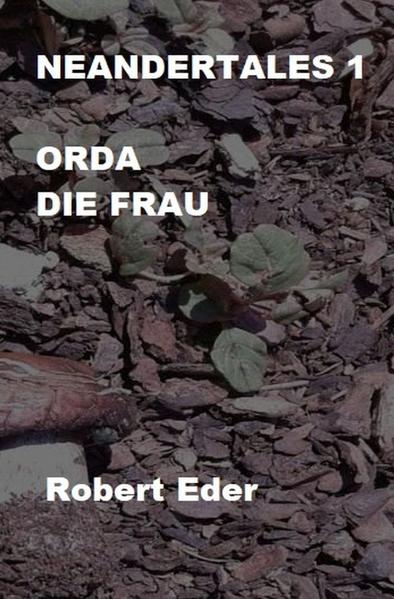 Einige hunderttausend Jahre blieben die Neandertaler in ihrem Gebiet mit einer stabilen Bevölkerung. In Afrika entwickelte sich der moderne Mensch dessen Bevölkerung stetig wuchs. Dies und sich ändernde Umweltbedingungen zwangen ihn auch in das Gebiet der Neandertaler vorzustoßen. Wie es Diesen erging, soll in dem Roman behandelt werden.