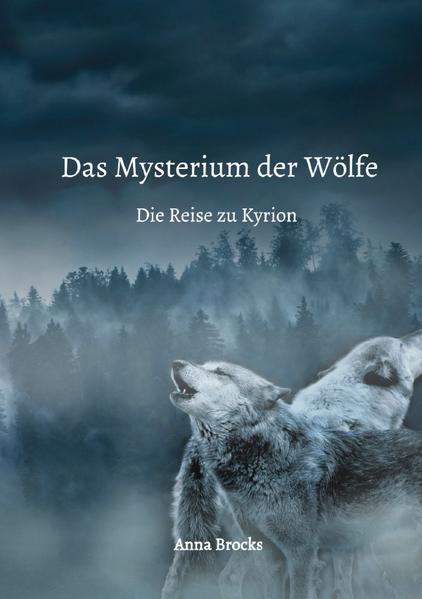 Jessica plagen seit längerem Albträume, Migräne und ein unerklärlicher Drang, aus ihrem gewohnten Leben auszubrechen. Als dann auch noch der mysteriöse Jake in ihr Leben tritt und sich alles, was sie zu wissen glaubte, als falsch herausstellt, begibt sie sich auf die Suche nach ihrer Vergangenheit und ihrer wahren Identität. Es ist der Beginn einer langen und gefährlichen Reise, die nicht nur Jessicas eigenes Schicksal, sondern die Zukunft vieler beeinflussen wird. Auf ihrem Weg zu Kyrion - der einzigen Person, die Jessicas Fragen beantworten kann - erwarten sie viele Abenteuer. Nicht immer sind diese positiv. So findet sie auf ihrer Reise treue Gefährten, wird jedoch auch mit dunklen Geschehnissen konfrontiert. Jessicas Mut, ihr Durchhaltevermögen und letztlich auch der Zusammenhalt mit ihren Freunden werden darüber entscheiden, ob sie ihr Ziel erreicht.