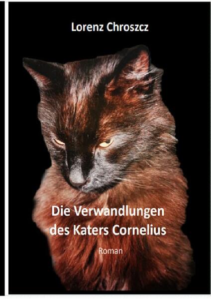 Ein kleiner roter Kater im Flegelalter tritt in Enricos Leben, entpuppt sich als eine Art Mephisto, bringt das Leben des "Dosenöffners" anscheinend erstmal gehörig durcheinander, entdeckt aber - zusehends auch mit Enrico gemeinsam - die Geschichte der Katzen an der Leipziger Trabrennbahn, die sich anhört wie eine Legende, die aber wahr ist. Aber mehr und mehr verflicht er diese 'kleine Geschichte' mit der 'großen'. Dabei verführt er Enrico zu einen äußerst skurrilen Osterspaziergang zum Leipziger Völkerschlachtdenkmal wie auch noch zu einer weitaus skurrileren Walpurgisnacht, die in einem Supermarkt beginnt und inmitten des Bosnienkrieges endet. Dabei werden existentielle Fragen zur Religion - und alle handlichen Lehrsätze gehörig auf den Kopf - gestellt. Die "Gretchenfrage" richtet sich dann aber nicht auf die Religion, sondern auf die persönliche menschliche Verantwortung für das Leben.